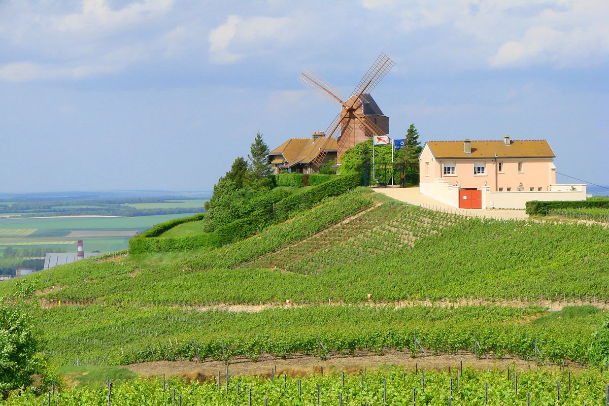 Reims & Champagne